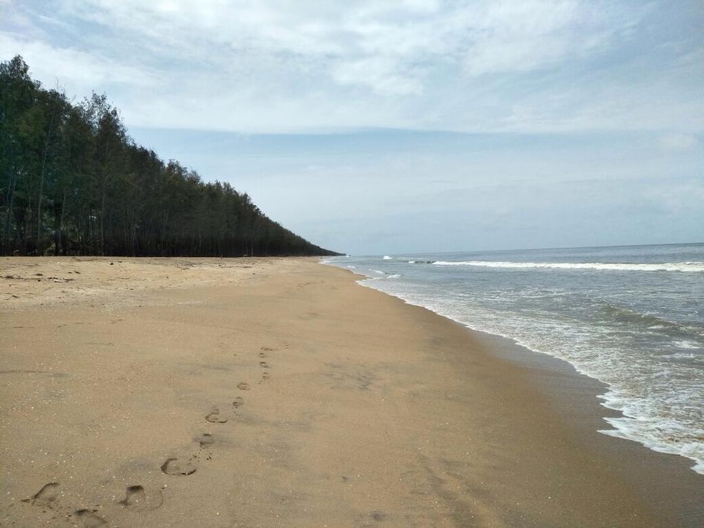 Cherai Beach Retreat Eksteriør bilde
